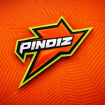 Pindez new logo