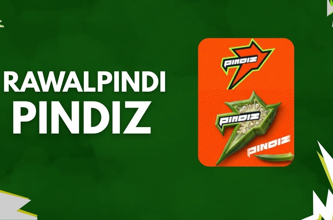 pindiz new Logo