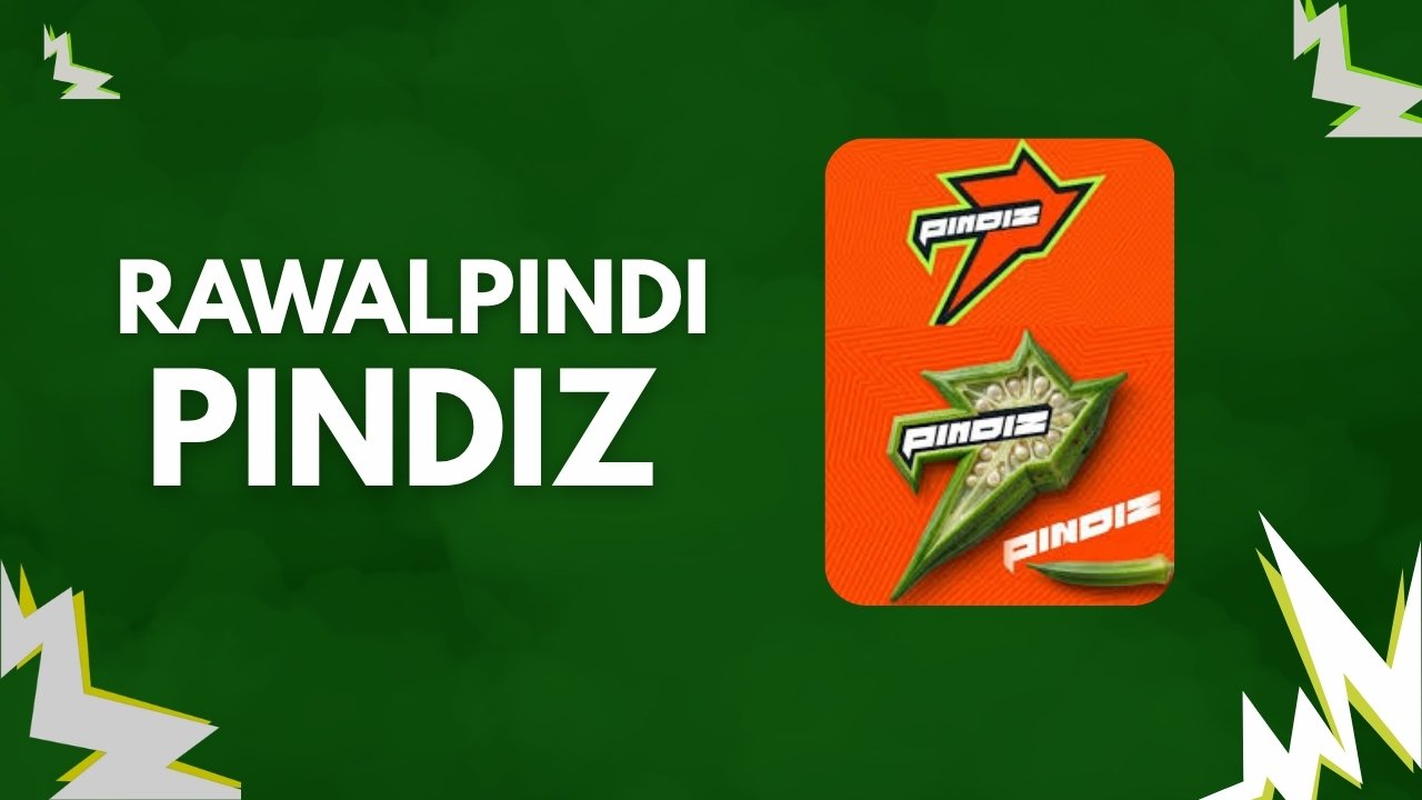 pindiz new Logo